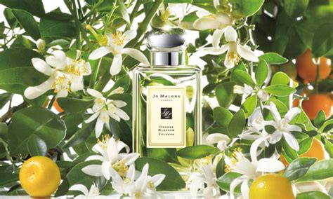 jo malone orange blossom dupe